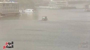 أمطار ورياح تعيد برودة الطقس مع تسجيل 11 درجة صغرى بالقاهرة اليوم